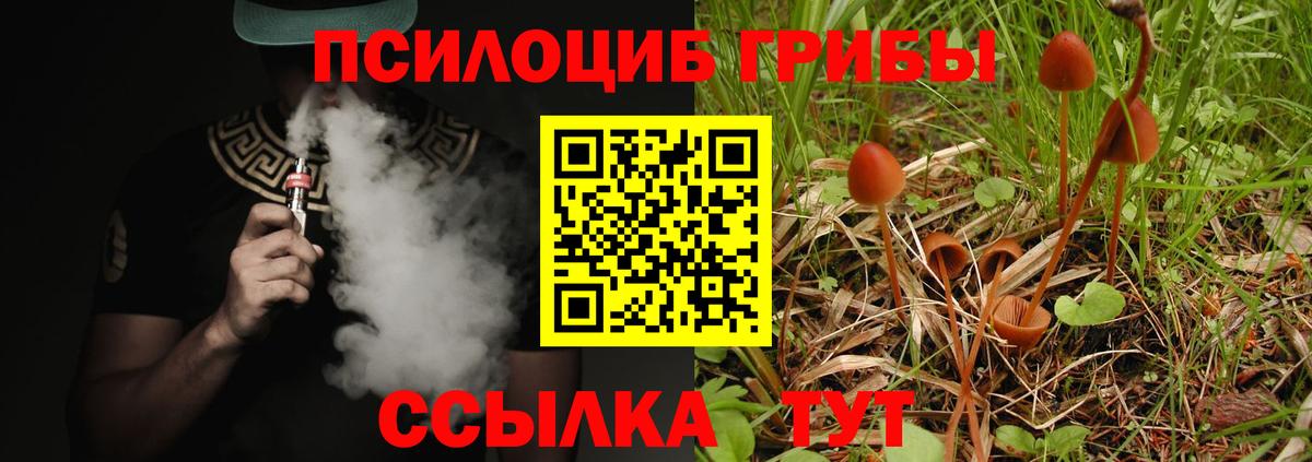 Псилоцибиновые грибы мицелий Курчатов