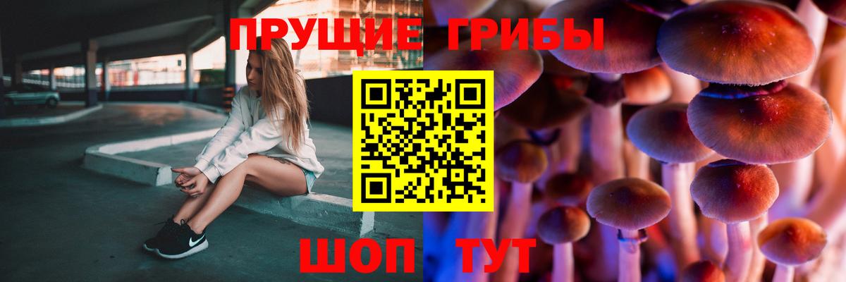 Псилоцибиновые грибы ЛСД  Вход с VPN  Курчатов 